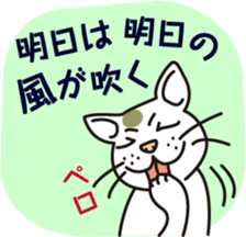 The cat WHITERUM tells his mind. sticker #6259668
