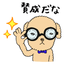 Happy days of Toy Poodle Part2 sticker #6261193