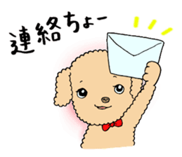 Happy days of Toy Poodle Part2 sticker #6261201