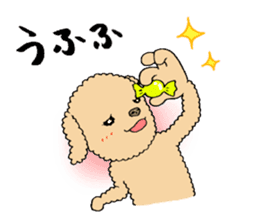 Happy days of Toy Poodle Part2 sticker #6261203