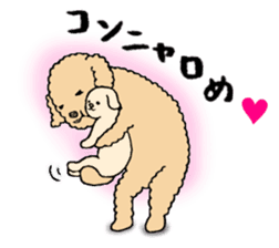 Happy days of Toy Poodle Part2 sticker #6261204