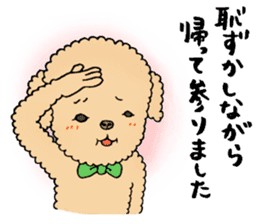 Happy days of Toy Poodle Part2 sticker #6261206