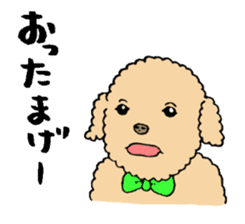 Happy days of Toy Poodle Part2 sticker #6261207