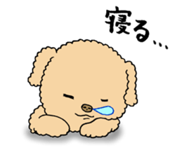 Happy days of Toy Poodle Part2 sticker #6261214