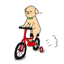 Happy days of Toy Poodle Part2 sticker #6261216