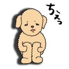 Happy days of Toy Poodle Part2 sticker #6261223