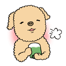 Happy days of Toy Poodle Part2 sticker #6261231