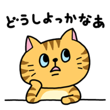 Various cat assortment sticker #6261980