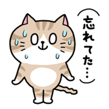 Various cat assortment sticker #6261984