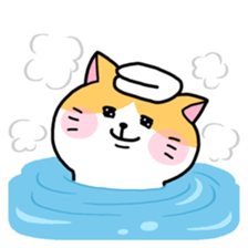 Various cat assortment sticker #6261989