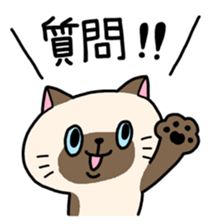 Various cat assortment sticker #6261990