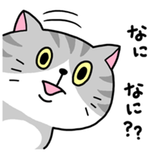 Various cat assortment sticker #6262003