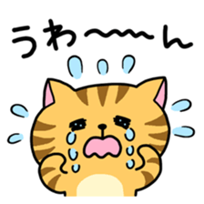 Various cat assortment sticker #6262004