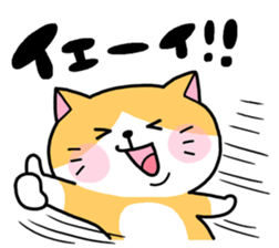 Various cat assortment sticker #6262005