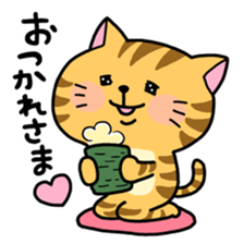 Various cat assortment sticker #6262006