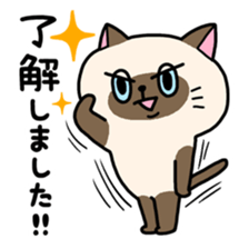 Various cat assortment sticker #6262014