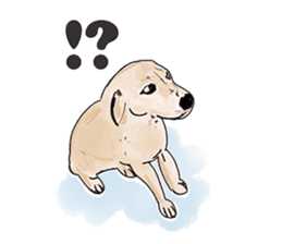 "White" The Lonely Dog sticker #6262700