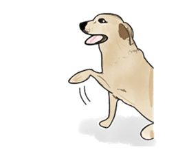 "White" The Lonely Dog sticker #6262703