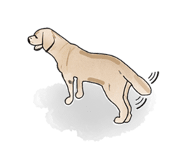 "White" The Lonely Dog sticker #6262735