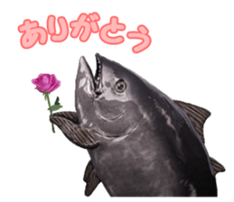 Surreal tuna(3D) sticker #6263336