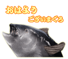 Surreal tuna(3D) sticker #6263344