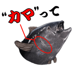 Surreal tuna(3D) sticker #6263354