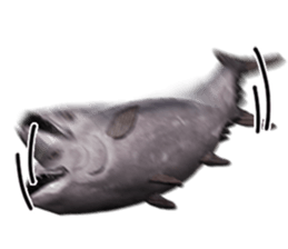 Surreal tuna(3D) sticker #6263358