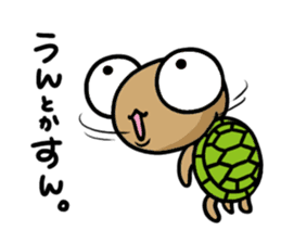 kamekichi the turtle volume3 sticker #6264629