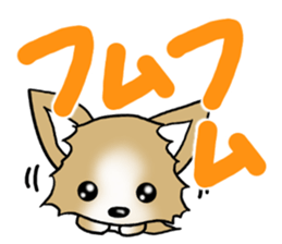 Chihuahua's Sticker!3 sticker #6265336