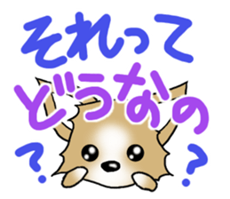 Chihuahua's Sticker!3 sticker #6265338