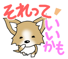 Chihuahua's Sticker!3 sticker #6265339