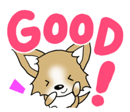 Chihuahua's Sticker!3 sticker #6265340