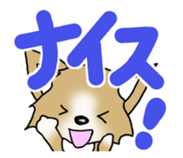 Chihuahua's Sticker!3 sticker #6265341