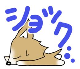 Chihuahua's Sticker!3 sticker #6265342