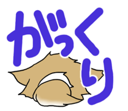 Chihuahua's Sticker!3 sticker #6265343