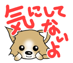 Chihuahua's Sticker!3 sticker #6265344