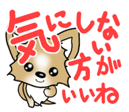 Chihuahua's Sticker!3 sticker #6265346