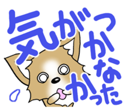 Chihuahua's Sticker!3 sticker #6265347