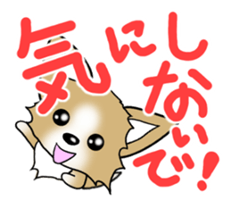 Chihuahua's Sticker!3 sticker #6265348