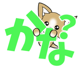Chihuahua's Sticker!3 sticker #6265350