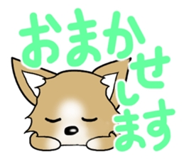 Chihuahua's Sticker!3 sticker #6265352