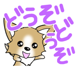 Chihuahua's Sticker!3 sticker #6265353