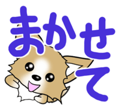 Chihuahua's Sticker!3 sticker #6265354