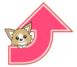 Chihuahua's Sticker!3 sticker #6265356