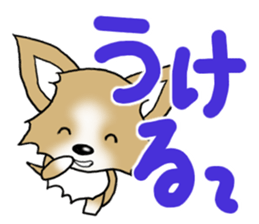 Chihuahua's Sticker!3 sticker #6265359