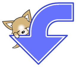 Chihuahua's Sticker!3 sticker #6265360