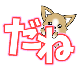 Chihuahua's Sticker!3 sticker #6265368