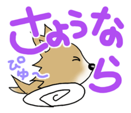 Chihuahua's Sticker!3 sticker #6265375