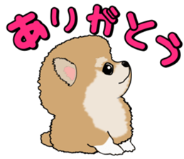 I like Pomeranian sticker #6267376