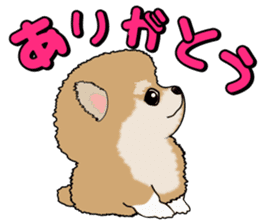 I like Pomeranian sticker #6267376